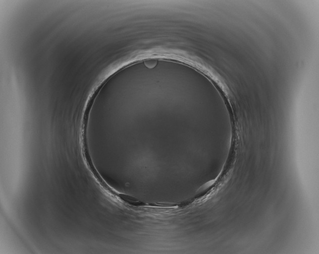 X0000116451525200912081607