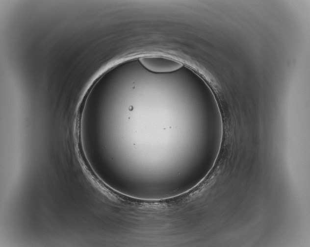 X0000116451526200912081607