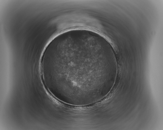 X0000116451527200912081607