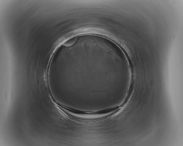 X0000116451529200912081607
