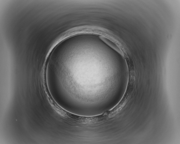 X0000116451530200912081607