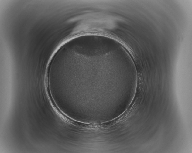 X0000116451531200912081607
