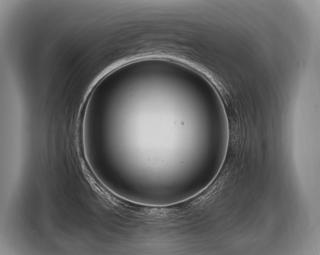 X0000116451534200912081607