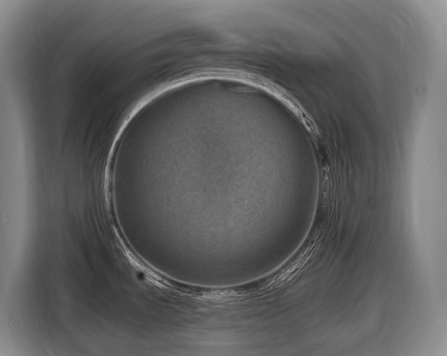X0000116451535200912081607