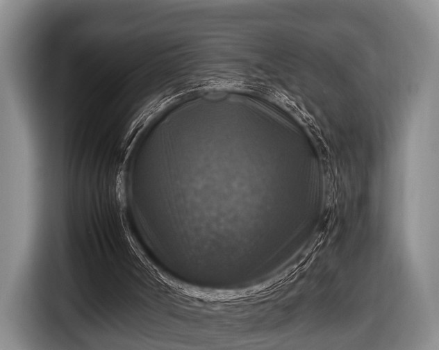 X0000116450002200912151309