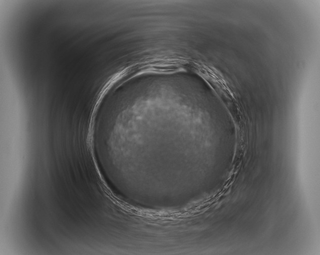 X0000116450003200912151309