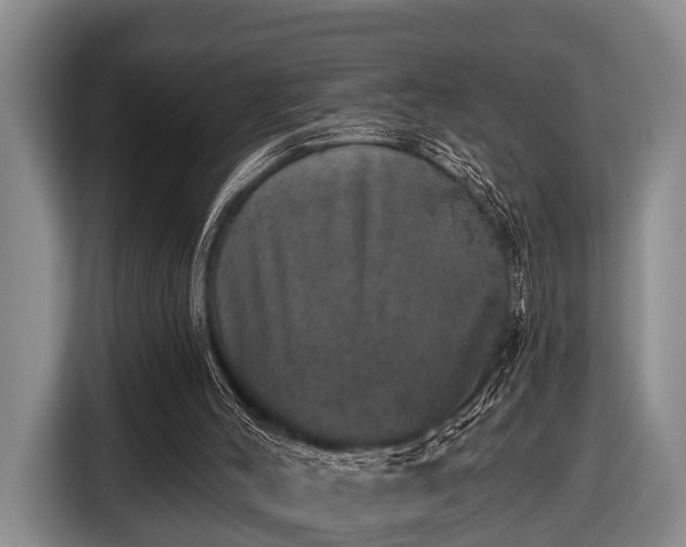 X0000116450004200912151309