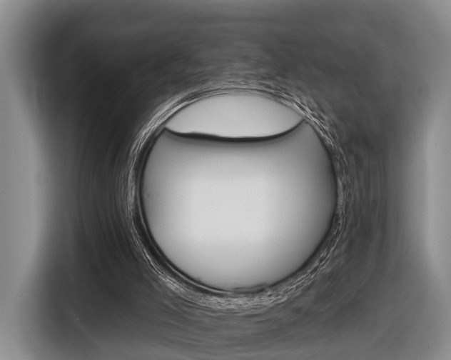 X0000116450005200912151309