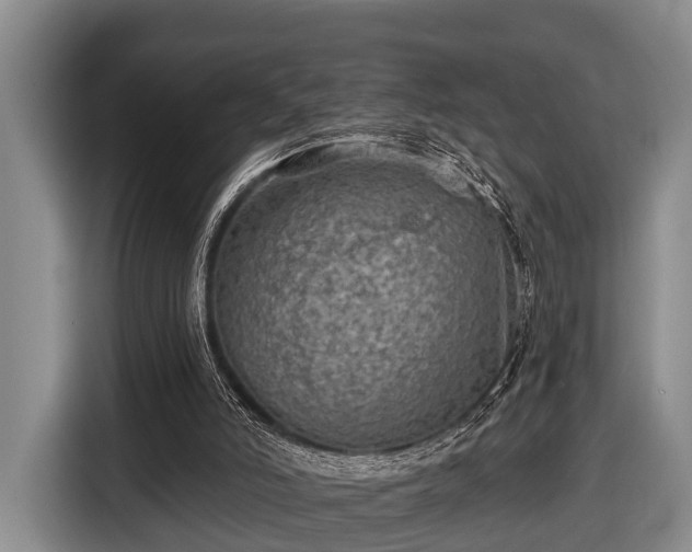 X0000116450006200912151309