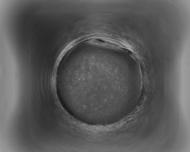 X0000116450007200912151309