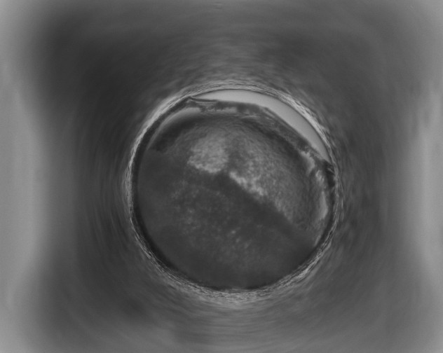 X0000116450008200912151309