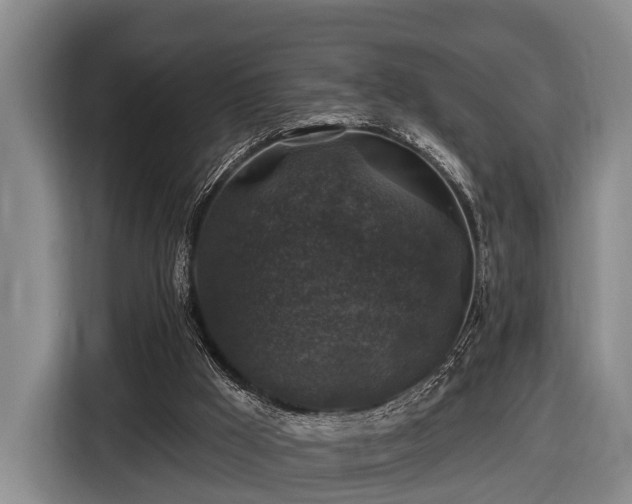 X0000116450009200912151309