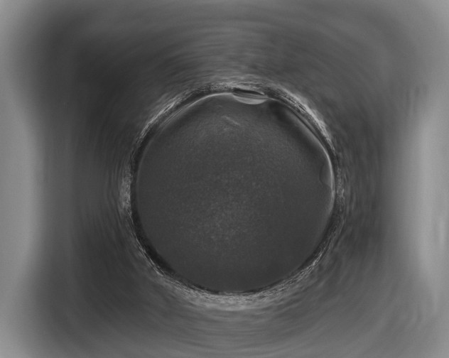 X0000116450010200912151309