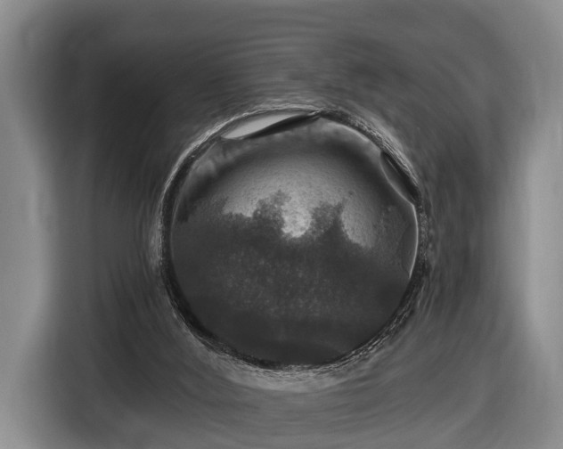 X0000116450012200912151309
