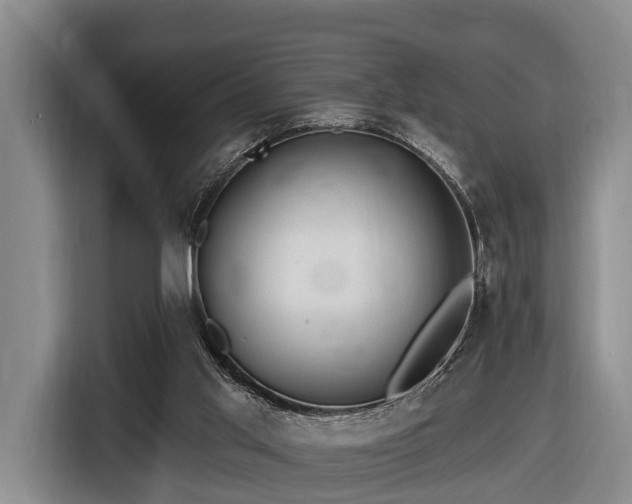 X0000116450013200912151309