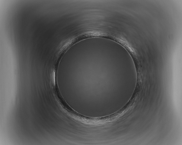 X0000116450014200912151309