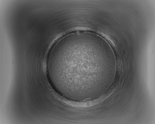X0000116450015200912151309