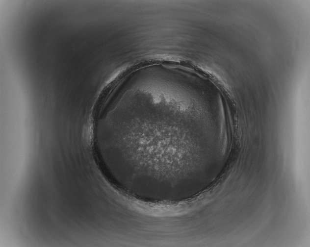 X0000116450016200912151309