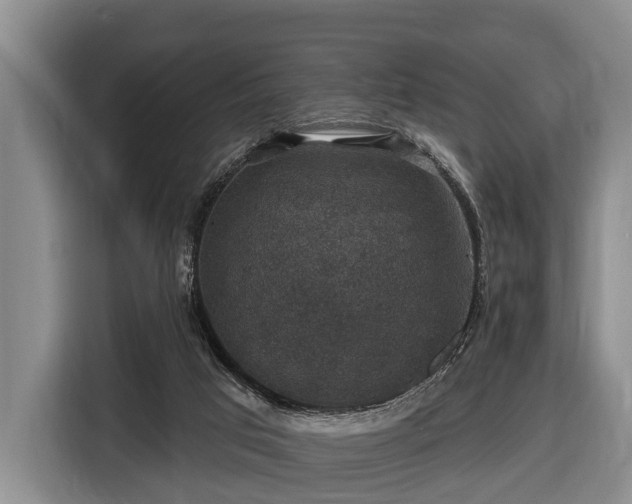 X0000116450017200912151309