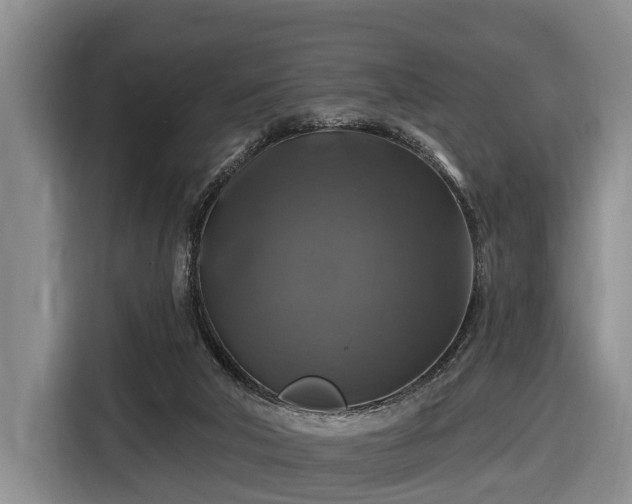 X0000116450018200912151309