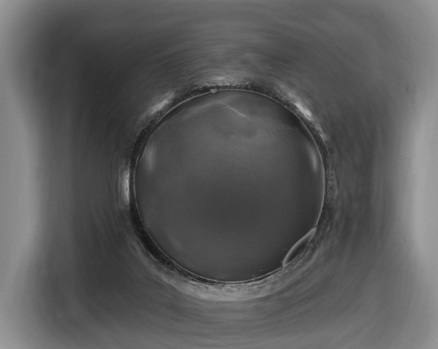 X0000116450019200912151309