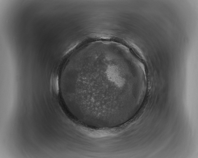 X0000116450020200912151309