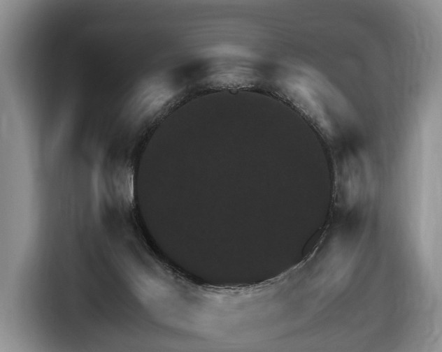 X0000116450021200912151309