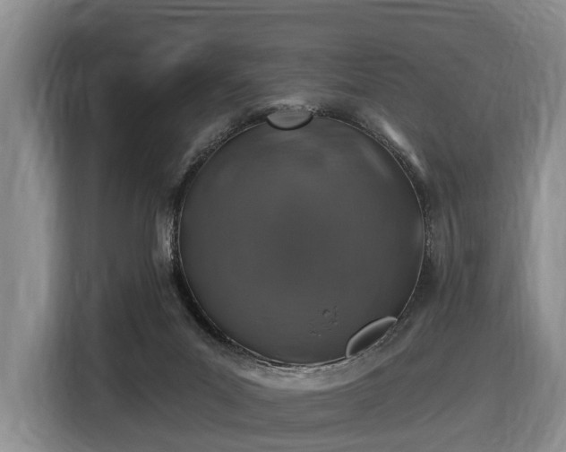 X0000116450023200912151309