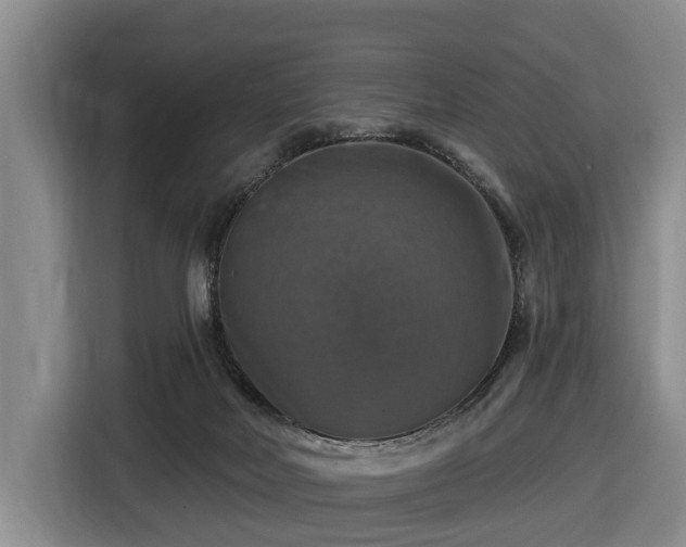 X0000116450026200912151309