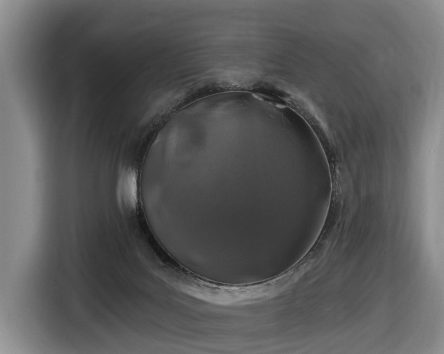 X0000116450027200912151309