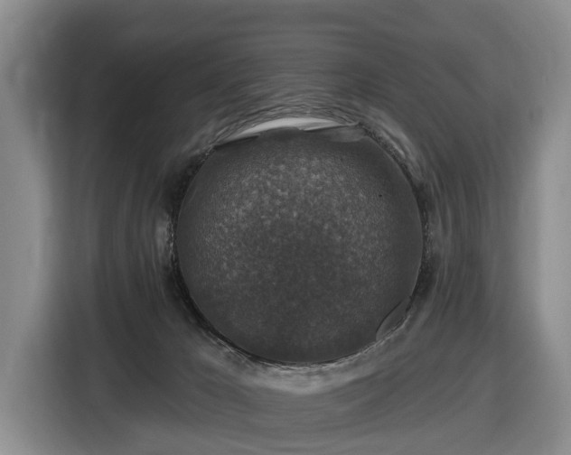 X0000116450029200912151309
