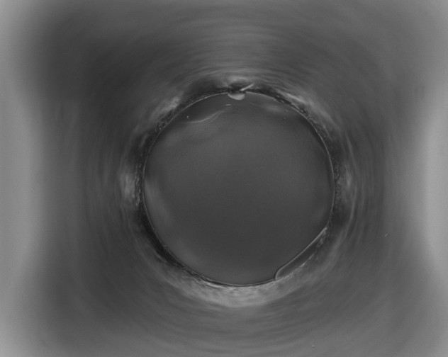 X0000116450031200912151309