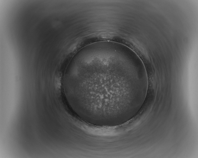 X0000116450032200912151309
