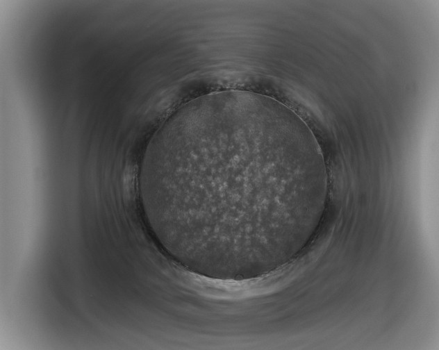 X0000116450034200912151309
