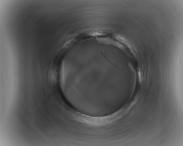 X0000116450035200912151309