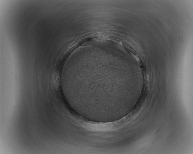 X0000116450036200912151309