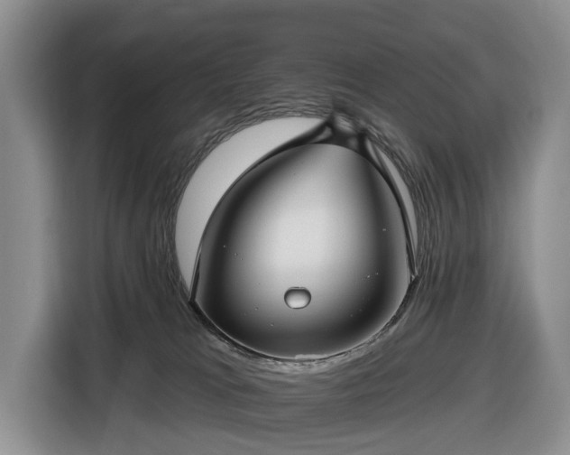 X0000116450037200912151309