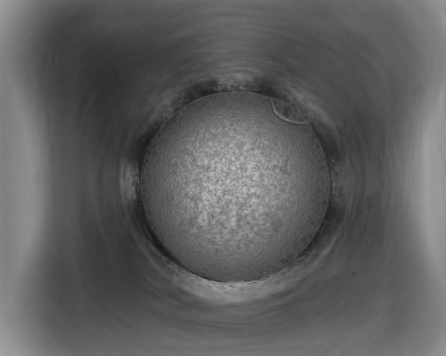 X0000116450038200912151309