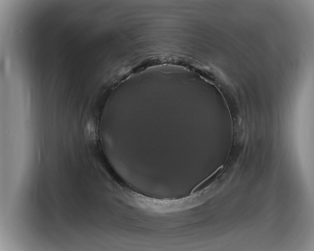 X0000116450039200912151309