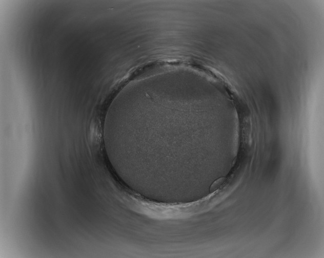 X0000116450040200912151309