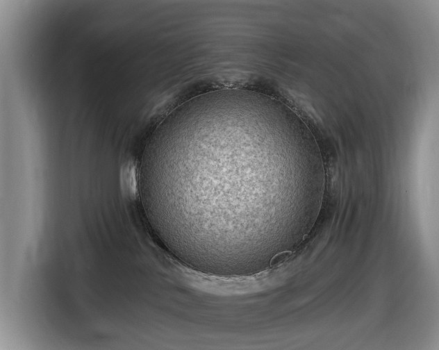 X0000116450042200912151309