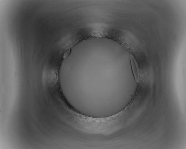 X0000116450043200912151309