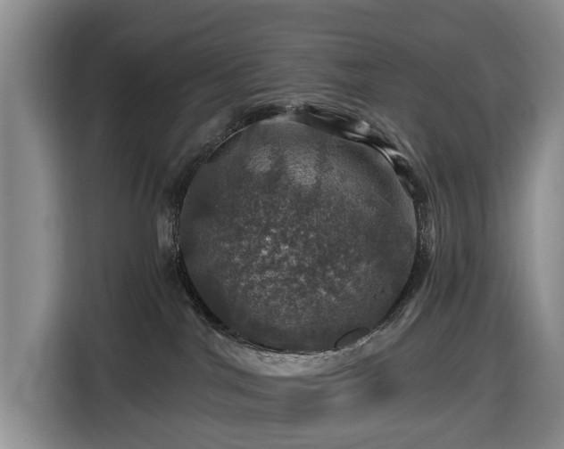 X0000116450044200912151309