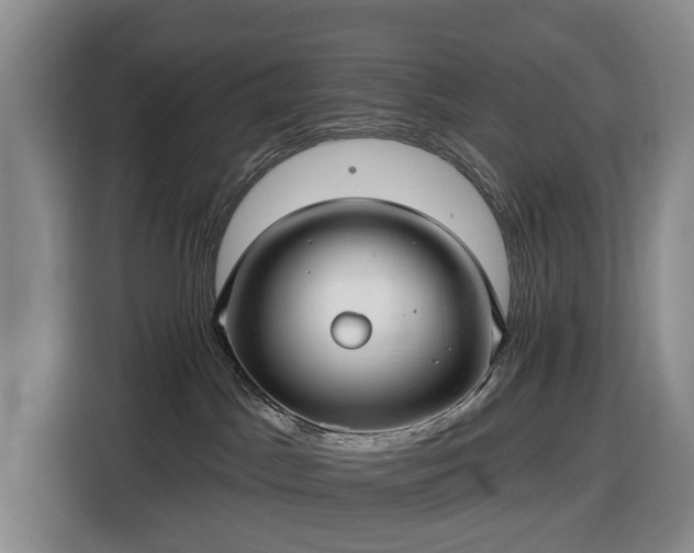 X0000116450045200912151309