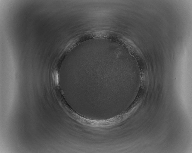 X0000116450046200912151309