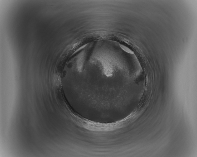 X0000116450048200912151309