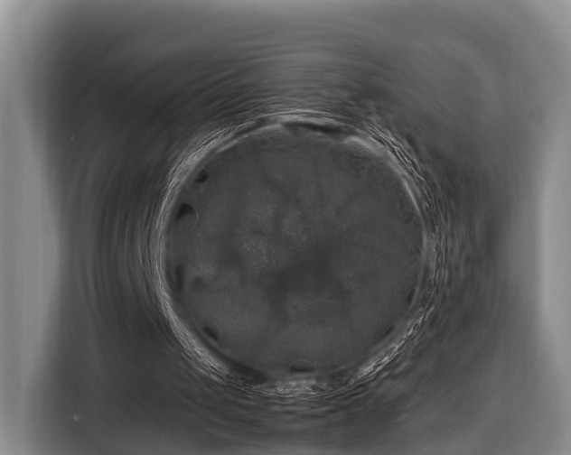 X0000116450049200912151308