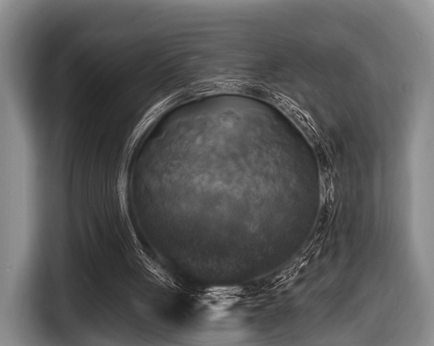 X0000116450051200912151308