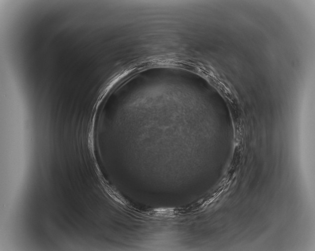 X0000116450052200912151308