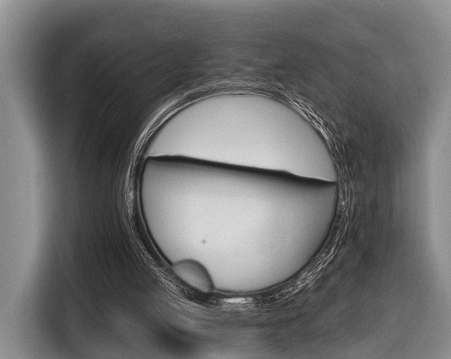 X0000116450053200912151308